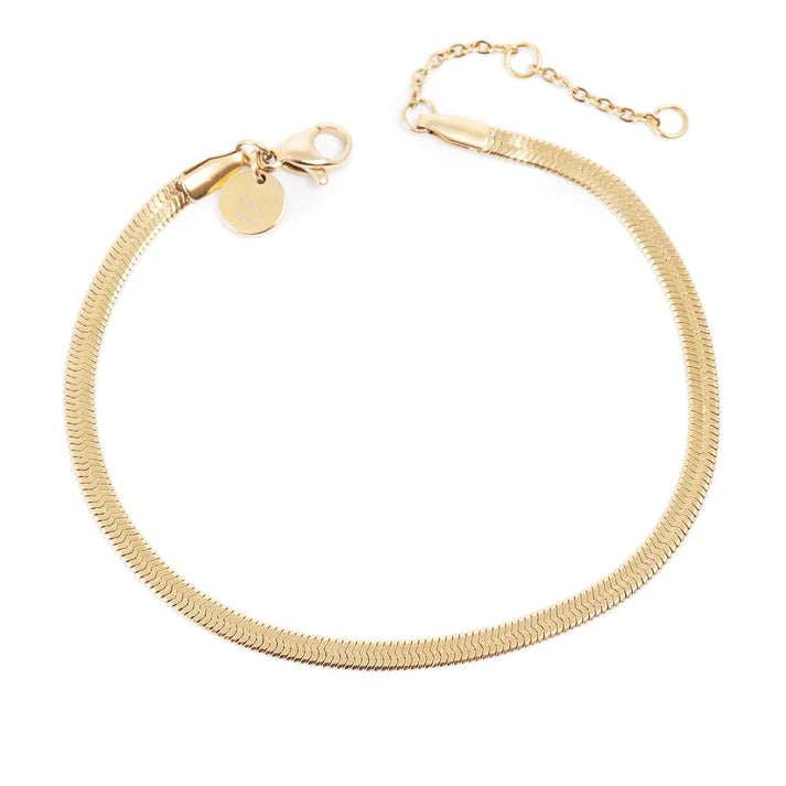 Pure Steel Snake Chain Anklet - Gold
