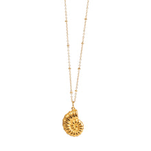 Load image into Gallery viewer, Pure Steel 14K Snail Shell necklace
